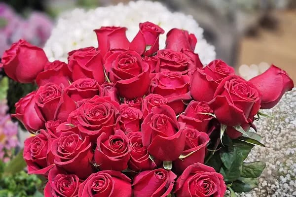 Agâh Flowers Çiçek-Çikolata - Resim 17