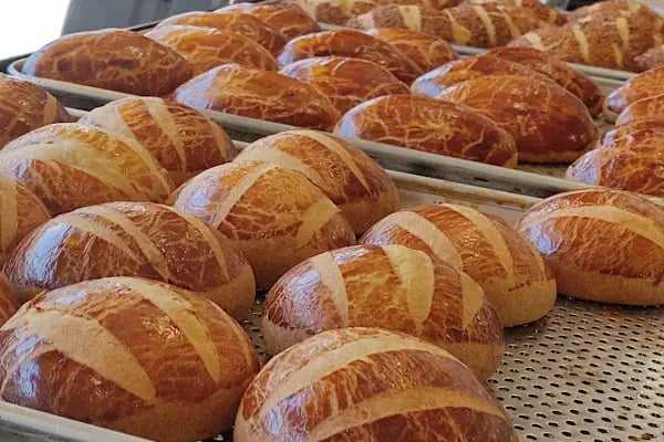 Kağan Börek - Resim 9