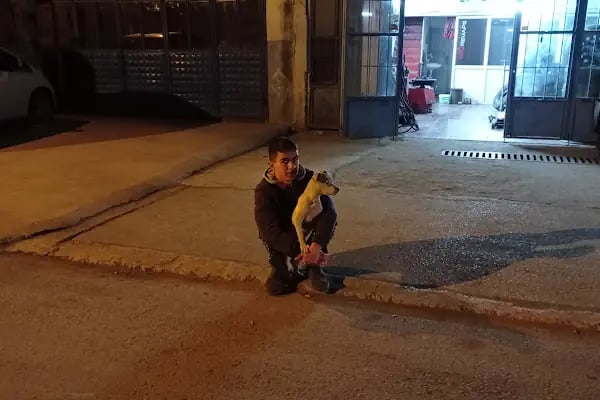Mesut oto lastik yol yardım - Resim 9