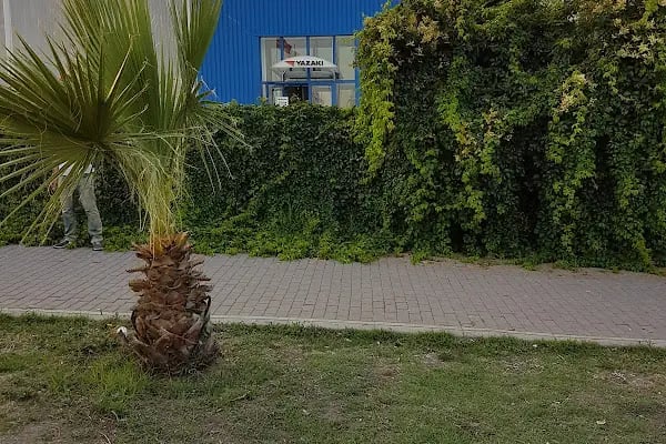 Yazaki Gemlik - Resim 10