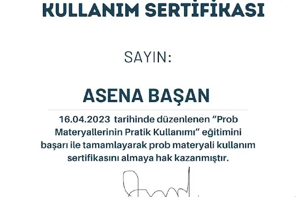Adana Dil ve Konuşma Terapisti Dkt Asena Başan - Resim 13