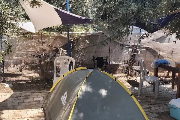 zeytin dalı piknik alanı camping - Resim 16