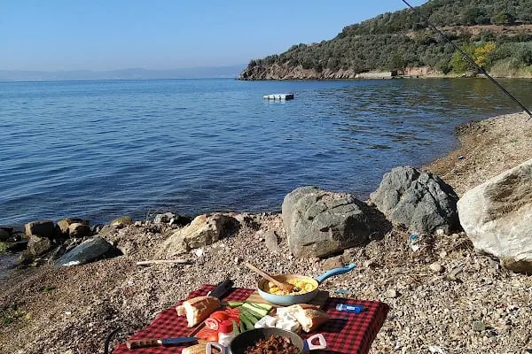 zeytin dalı piknik alanı camping - Resim 10