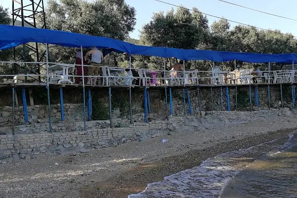 zeytin dalı piknik alanı camping - Resim 5
