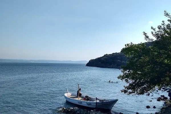 zeytin dalı piknik alanı camping - Resim 7