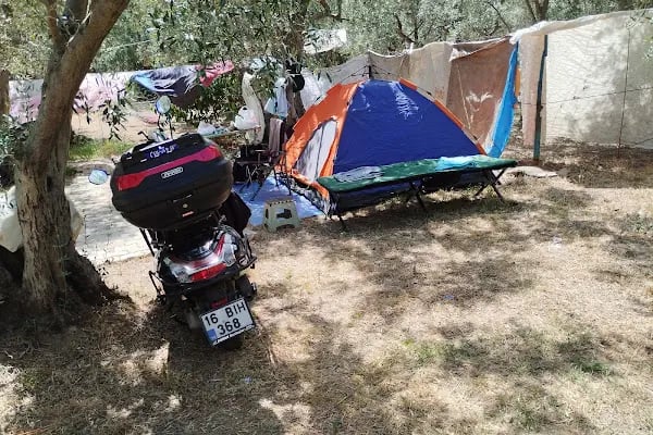 zeytin dalı piknik alanı camping - Resim 9