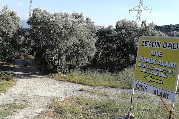 zeytin dalı piknik alanı camping - Resim 8