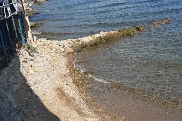 zeytin dalı piknik alanı camping - Resim 18