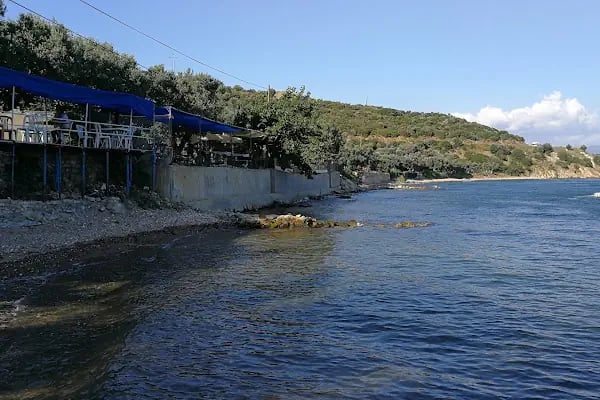 zeytin dalı piknik alanı camping - Resim 6