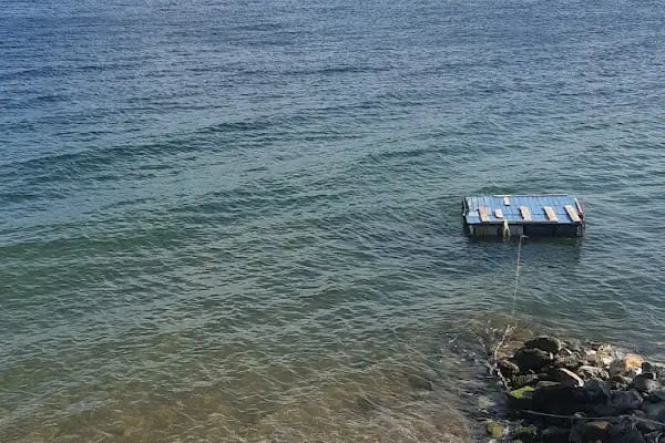 zeytin dalı piknik alanı camping - Resim 2