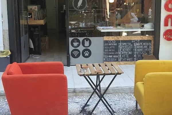 Kuzgun Plak Kafe - Resim 2
