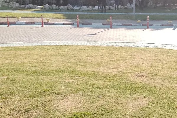 Ege Üniversitesi Eğitim Fakültesi - Resim 12