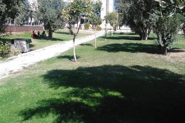 Ege Üniversitesi Eğitim Fakültesi - Resim 17