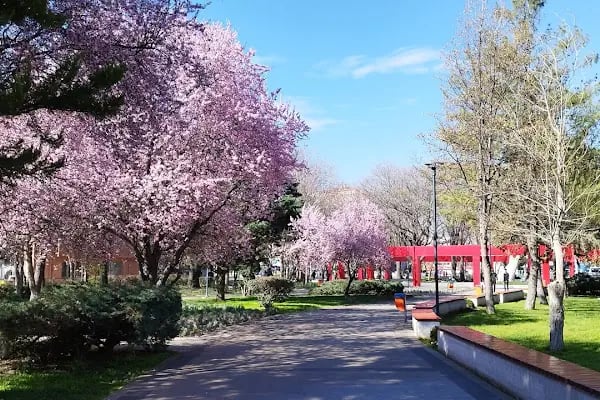 Sıhhiye Metro Abdi İpekçi Parkı Girişi - Resim 12