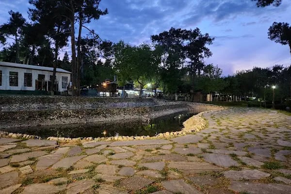 Çamlık Çay Bahçesi / Hayat Kahvesi - Resim 4
