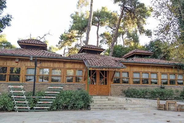 Çamlık Çay Bahçesi / Hayat Kahvesi - Resim 13