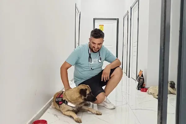 PET 75 VETERİNER KLİNİĞİ 7/24 ACİL HİZMETİ - Resim 12