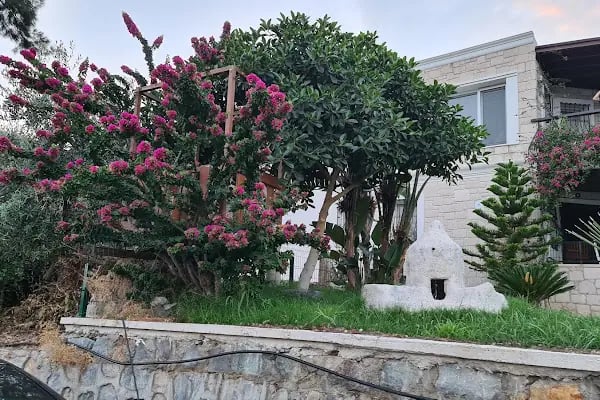 La Kübana Evleri - Resim 5