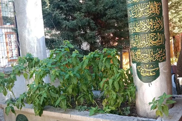 Pir Abdul Mecid Sivasi Türbesi - Resim 9