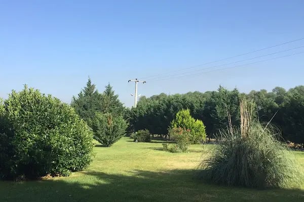 Asya Pamukçu Termal Otel - Resim 10