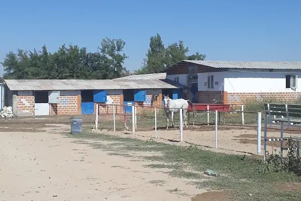 Malatya atlı binicilik - Resim 20
