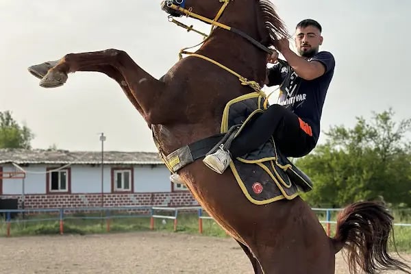 Malatya atlı binicilik - Resim 16