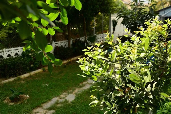 Pınar Otel - Resim 12