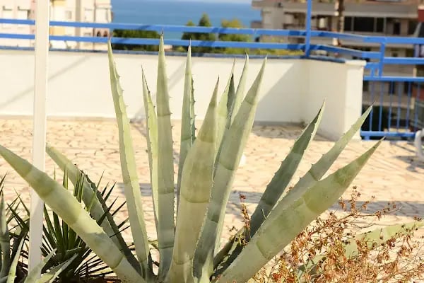 Pınar Otel - Resim 7