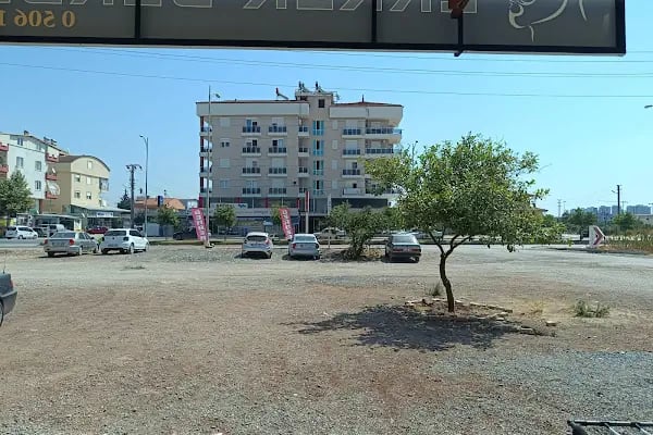 DS Erkek Berberi | Döşemealtı - Resim 6