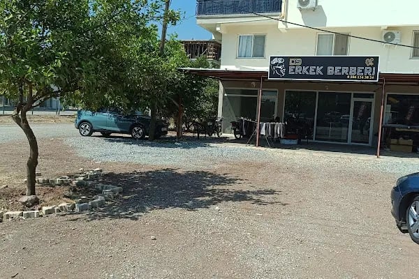 DS Erkek Berberi | Döşemealtı - Resim 5