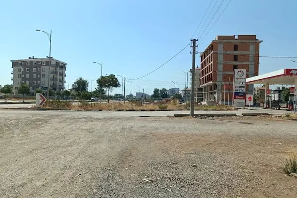 DS Erkek Berberi | Döşemealtı - Resim 7