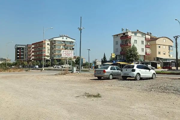 DS Erkek Berberi | Döşemealtı - Resim 2