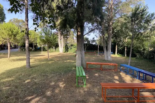 Afacan Motel Gençlik Evi - Resim 6