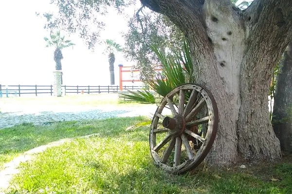 Afacan Motel Gençlik Evi - Resim 13
