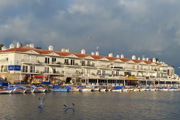 Villa Dedem Hotel - Resim 1