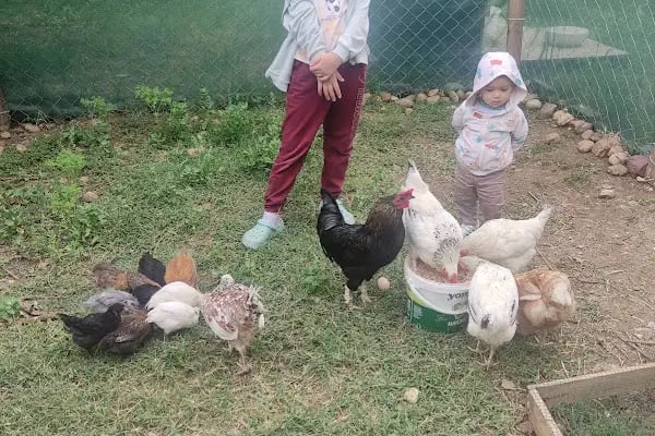 Komşu Bahçe - Resim 20