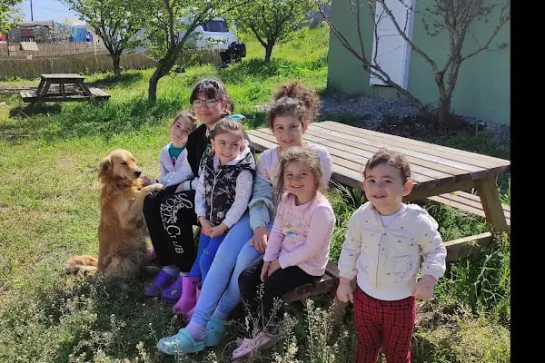Komşu Bahçe - Resim 17