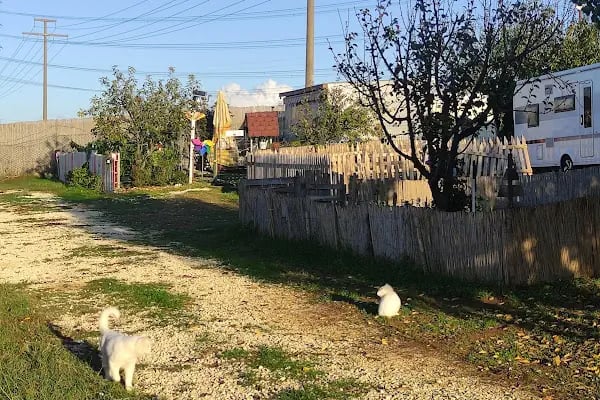 Komşu Bahçe - Resim 11