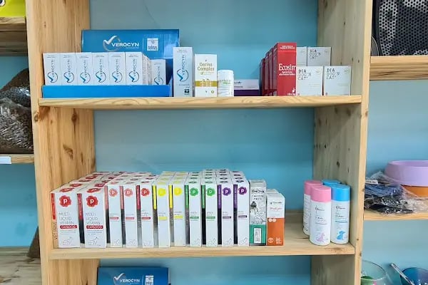 Kuzeykent Veteriner Kliniği - Resim 2