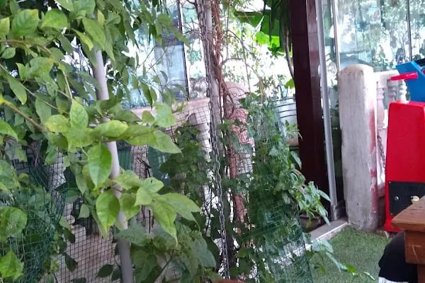 Cansu Cafe - Resim 16