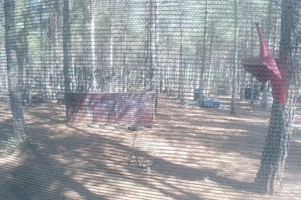 angelpark paintball - Resim 15