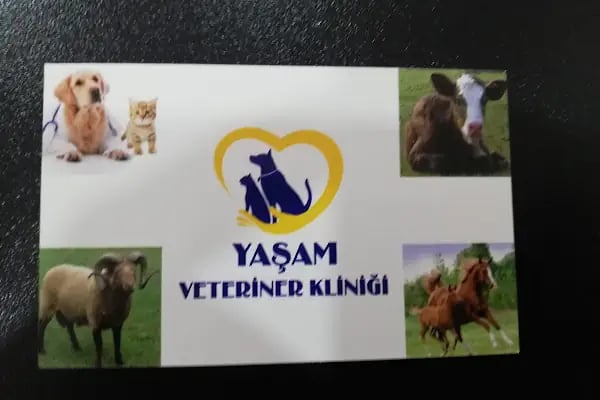 ÖZEL YAŞAM VETERİNER KLİNİĞİ - Resim 6
