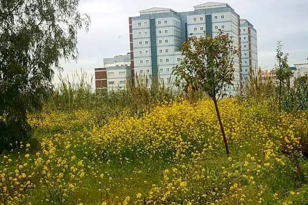 Dokuz Eylül Üniversitesi Tıp Fakültesi Dekanlığı - Resim 15
