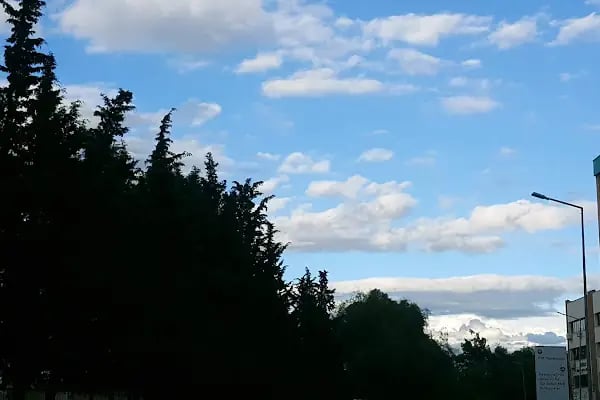 Dokuz Eylül Üniversitesi Tıp Fakültesi Dekanlığı - Resim 13