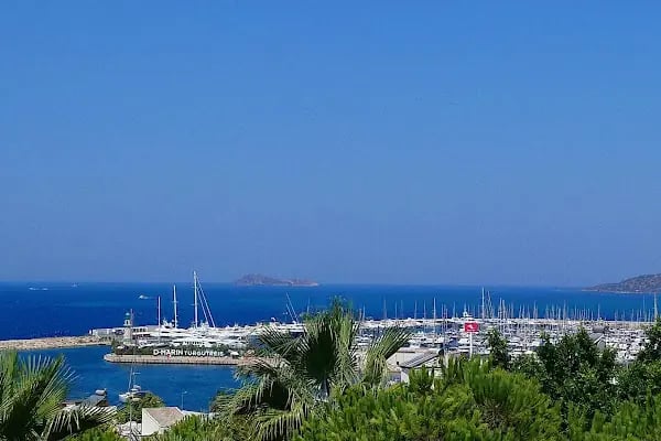 Bahama Art Boutique Hotel - Resim 11