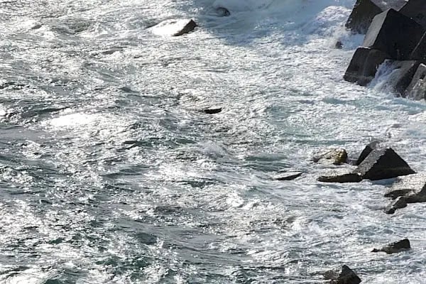 Arnavutköy Karaburun Mahalle Muhtarlığı - Resim 14