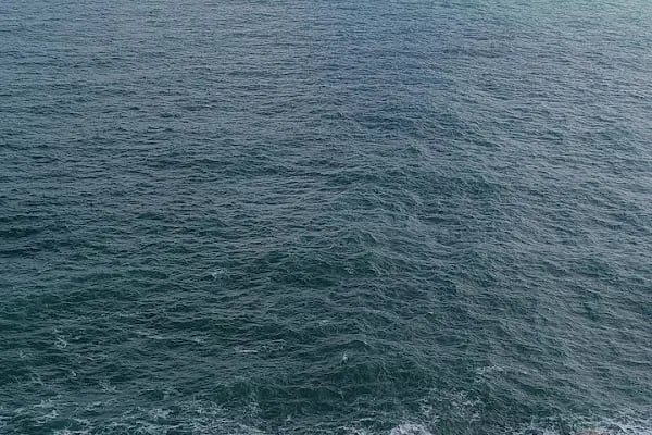 Arnavutköy Karaburun Mahalle Muhtarlığı - Resim 16