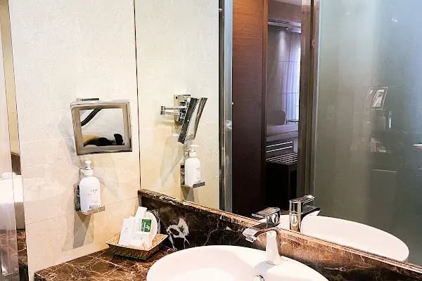 Holiday Inn Ankara Kavaklıdere - Resim 3