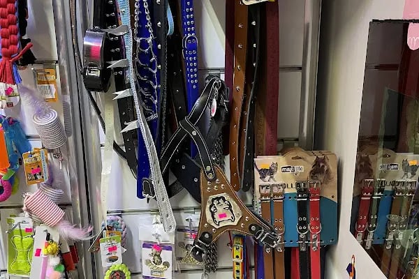 ERYAMAN ROTA PET SHOP ALO MAMA - Resim 18