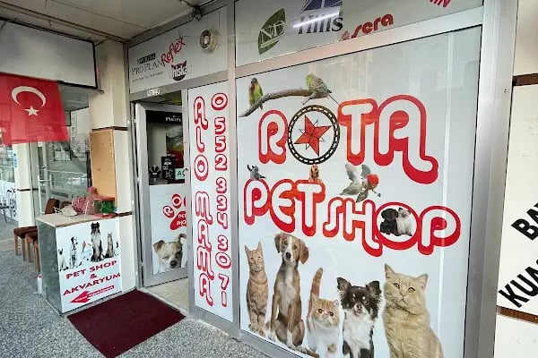 ERYAMAN ROTA PET SHOP ALO MAMA - Resim 17